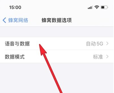 苹果12设置5G网络方法