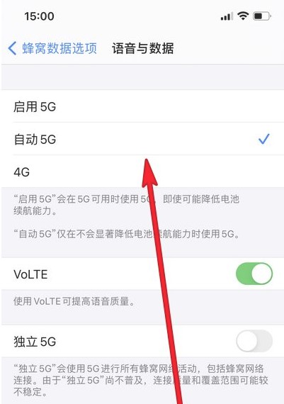 苹果12设置5G网络方法