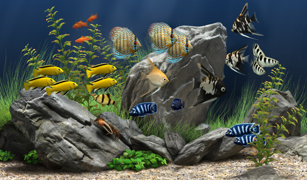 Dream Aquarium（动态屏保）