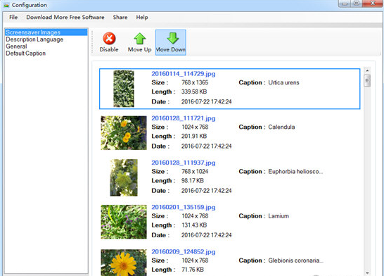 Flora Screensaver（植物屏保）
