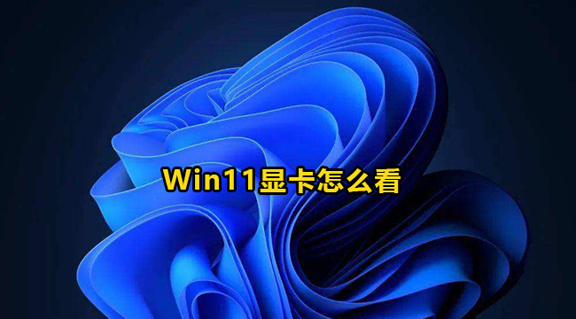 Win11显卡怎么看