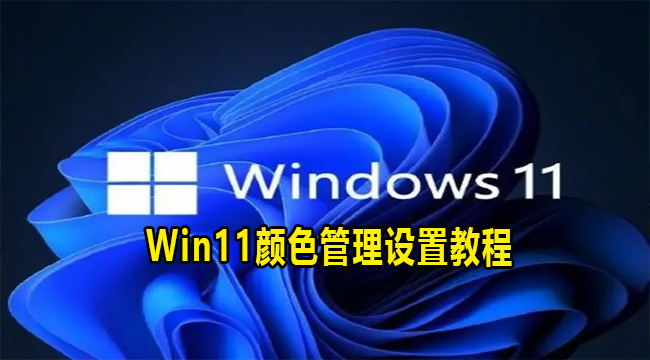 Win11颜色管理设置教程