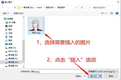 Word文档图片自由移动办法