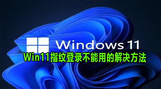 Win11指纹登录不能用的解决方法