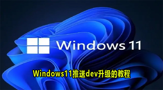 Win11推送dev升级的教程