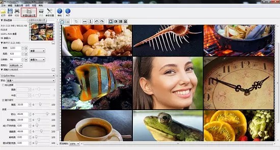 PhotoZoom Pro 8（图片工具）