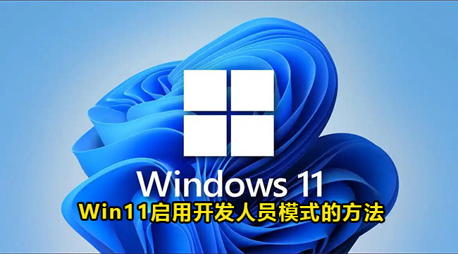 Win11启用开发人员模式的方法(win11怎么开启快速充电模式)