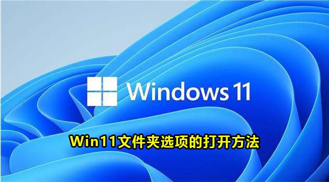 Win11文件夹选项的打开方法