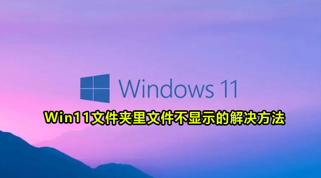 Win11文件夹中文件不显示的解决方法