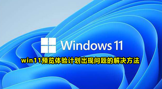 win11预览体验计划出现问题的解决方法