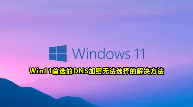 Win11首选的DNS加密无法选择的解决方法