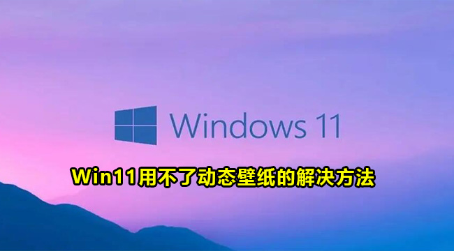 Win11用不了动态壁纸的解决方法