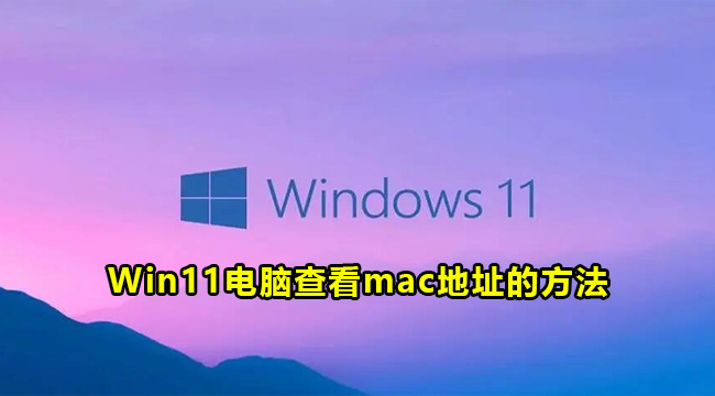 Win11电脑查看mac地址的方法