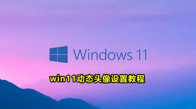 win11动态头像设置教程