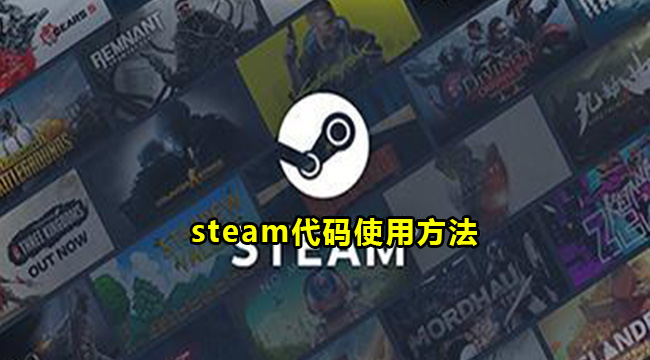 steam代码使用方法