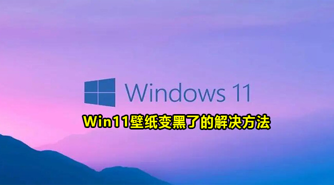 Win11壁纸变黑了的解决方法