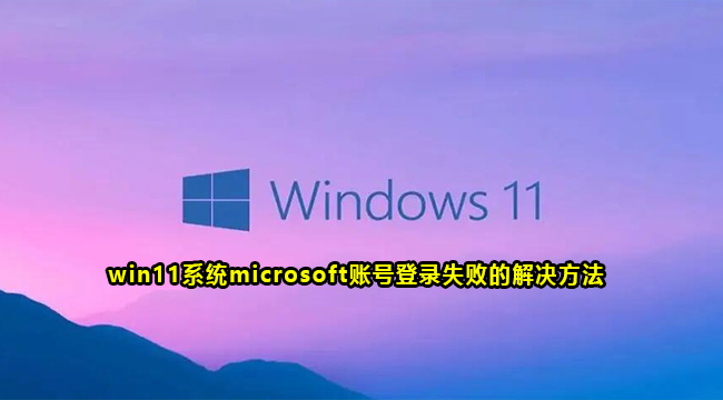 win11系统microsoft账号登录失败的解决方法