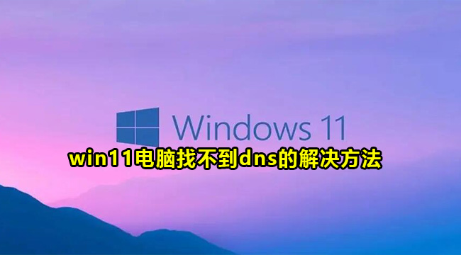 win11电脑找不到dns的解决方法