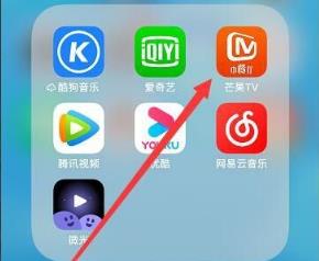 芒果TV下载的视频保存在本地教程