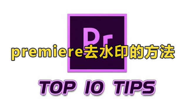 premiere去水印的方法