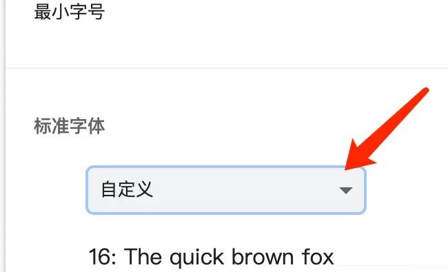 谷歌浏览器Mac版设置标准字体样式方法