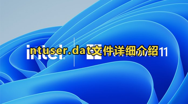 ntuser.dat文件详细介绍