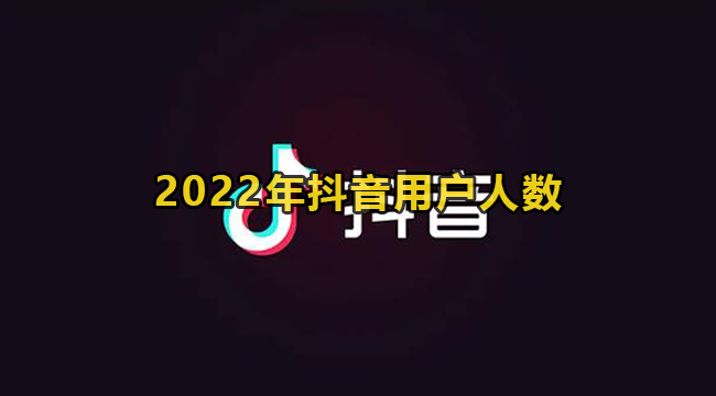 2022年抖音用户人数