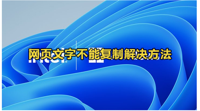 网页文字不能复制解决方法