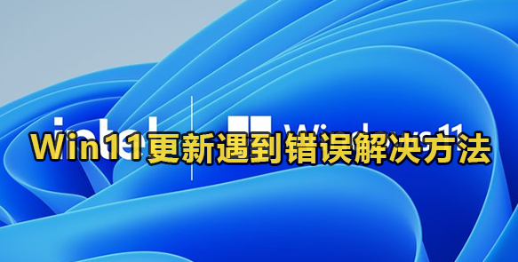 Win11更新遇到错误解决方法