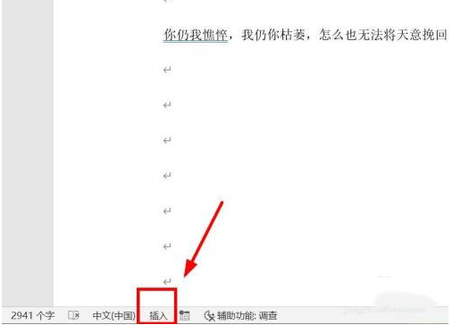 WPS文档编辑时吞字解决方法