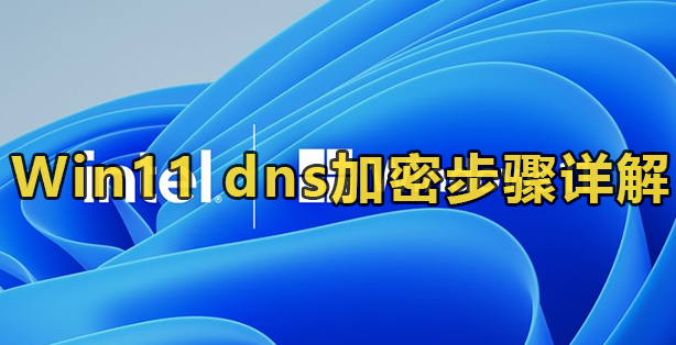 Win11 dns加密步骤详解