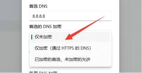 Win11 dns加密步骤详解