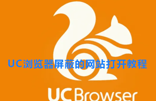 UC浏览器屏蔽的网站打开教程