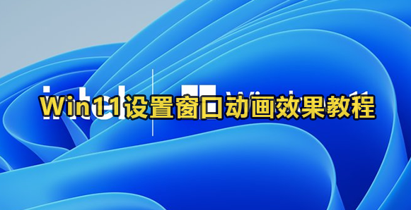 Win11设置窗口动画效果教程