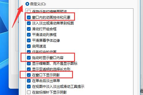 Win11设置窗口动画效果教程