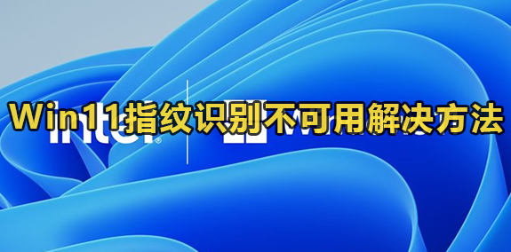 Win11指纹识别不可用解决方法