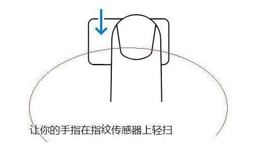 Win11指纹识别不可用解决方法