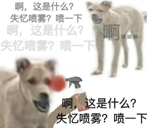 抖音这是什么失忆喷雾喷一下梗的介绍