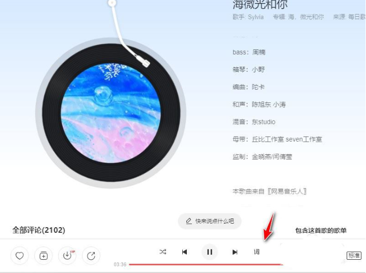 网易云音乐设置歌词双行显示教程