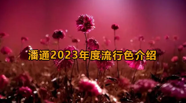 潘通2023年度流行色介绍