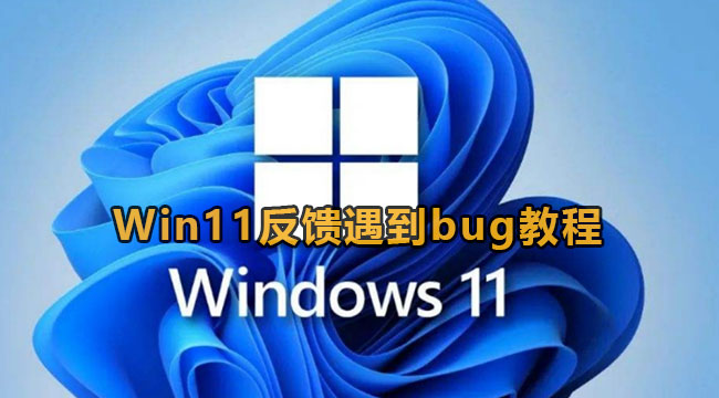 Win11反馈遇到bug教程