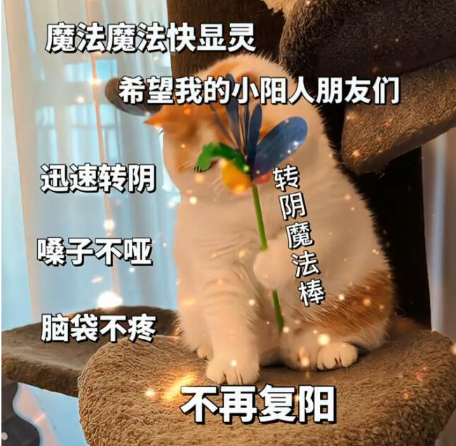 抖音转阴小猫梗出处介绍