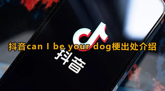 抖音can I be your dog梗出处介绍