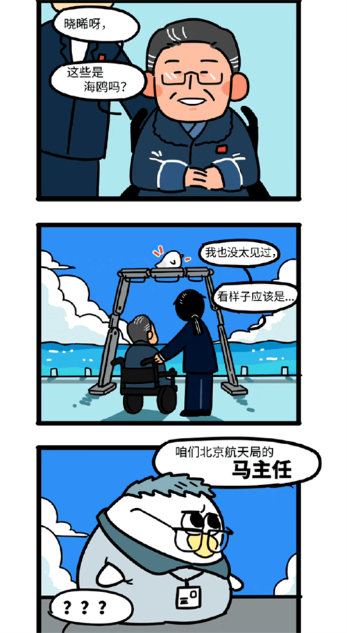 抖音马兆海鸥梗出处介绍