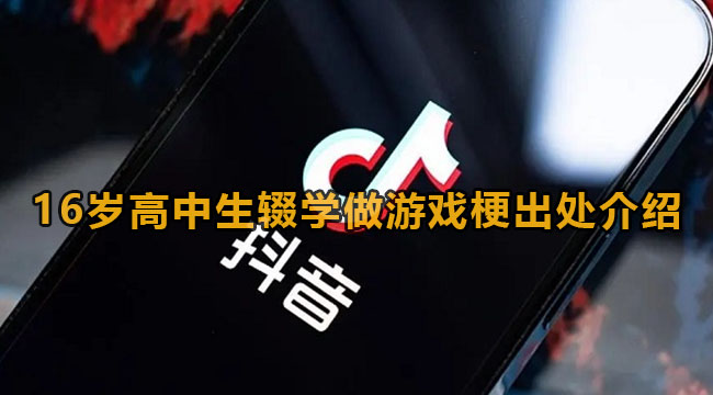 抖音16岁高中生辍学做游戏梗出处介绍