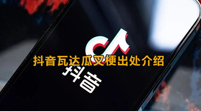 抖音瓦达瓜叉梗出处介绍