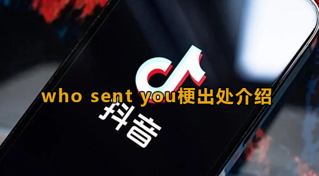 who sent you梗出处介绍