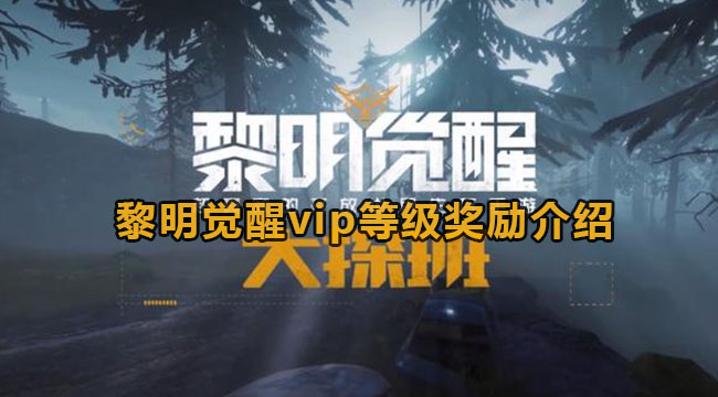 黎明觉醒vip等级奖励介绍