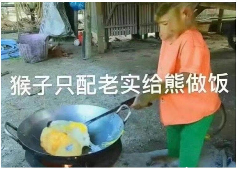 抖音猴子只配给熊做饭梗出处介绍