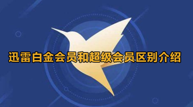 迅雷白金会员和超级会员区别介绍